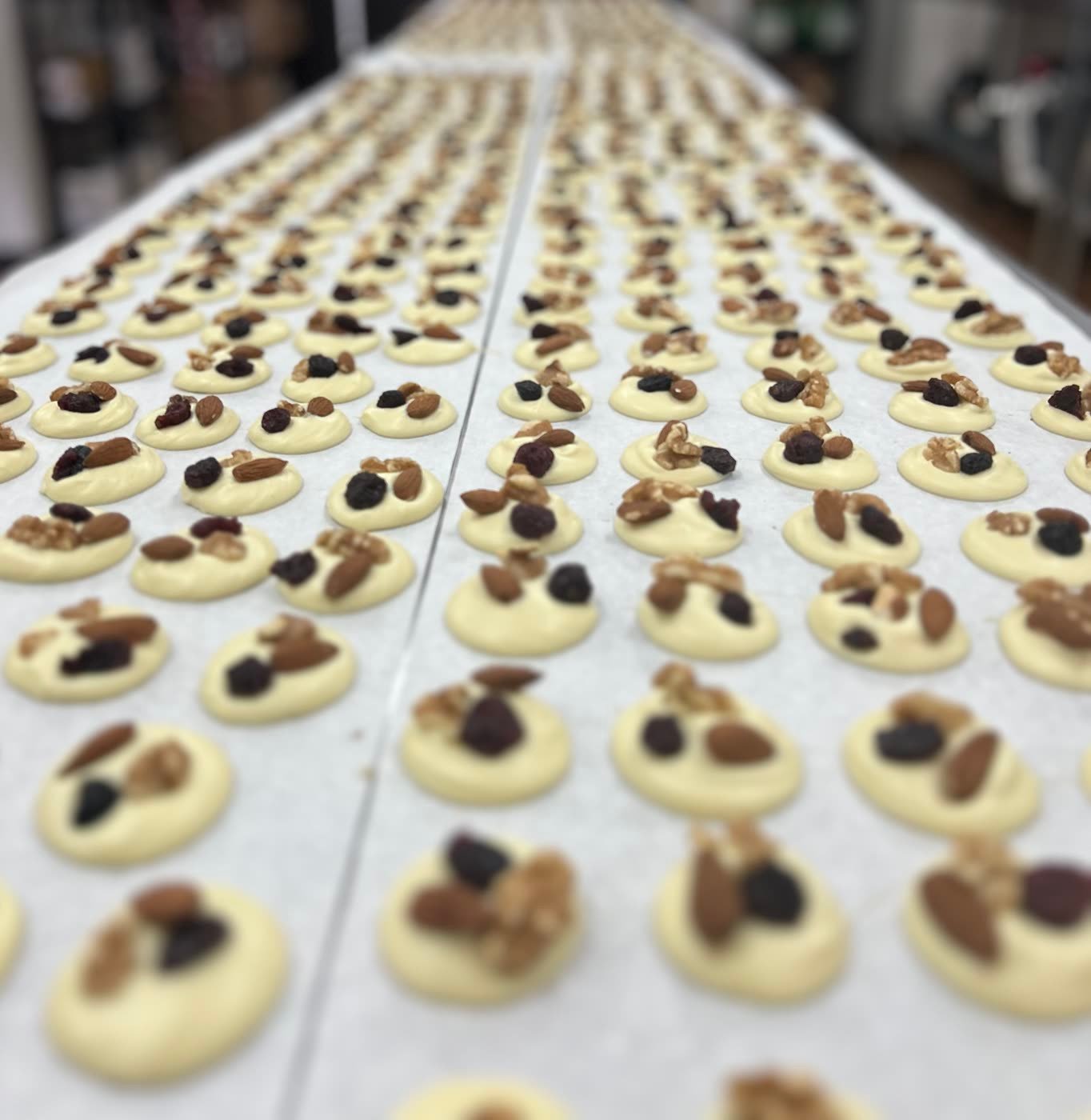 Raisins, amandes et noix sur chocolat blanc